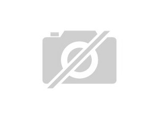 Suche Bengal Cat auch ohne papiere nicht zu teuer